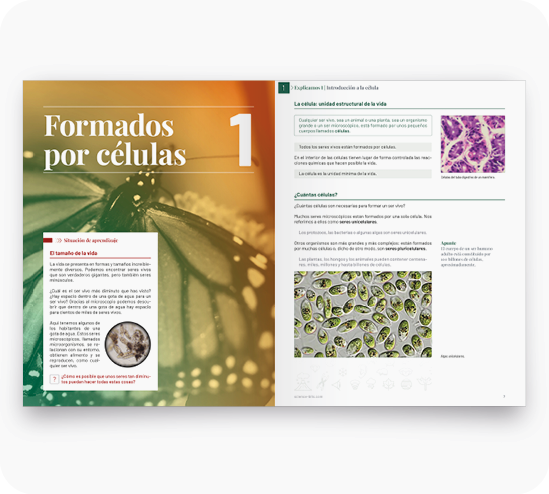 Unidad Formados por células Biología y Geología 1º de la ESO